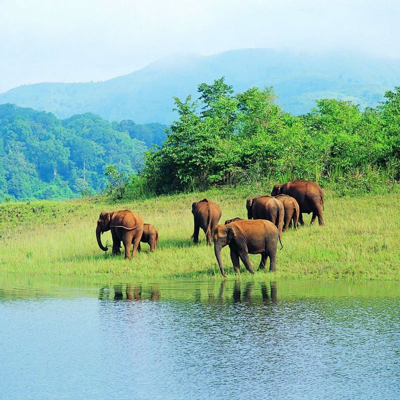 Periyar