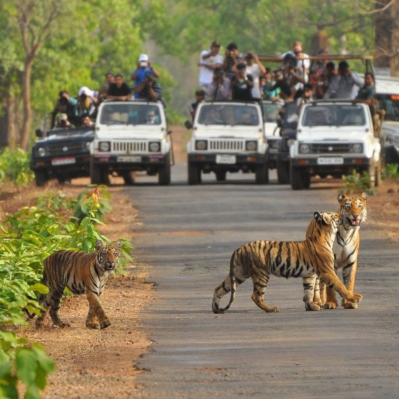 Pench
